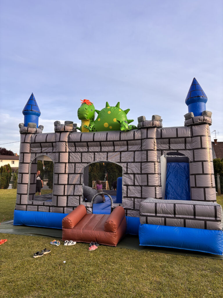 dragon kingdom napuhanac